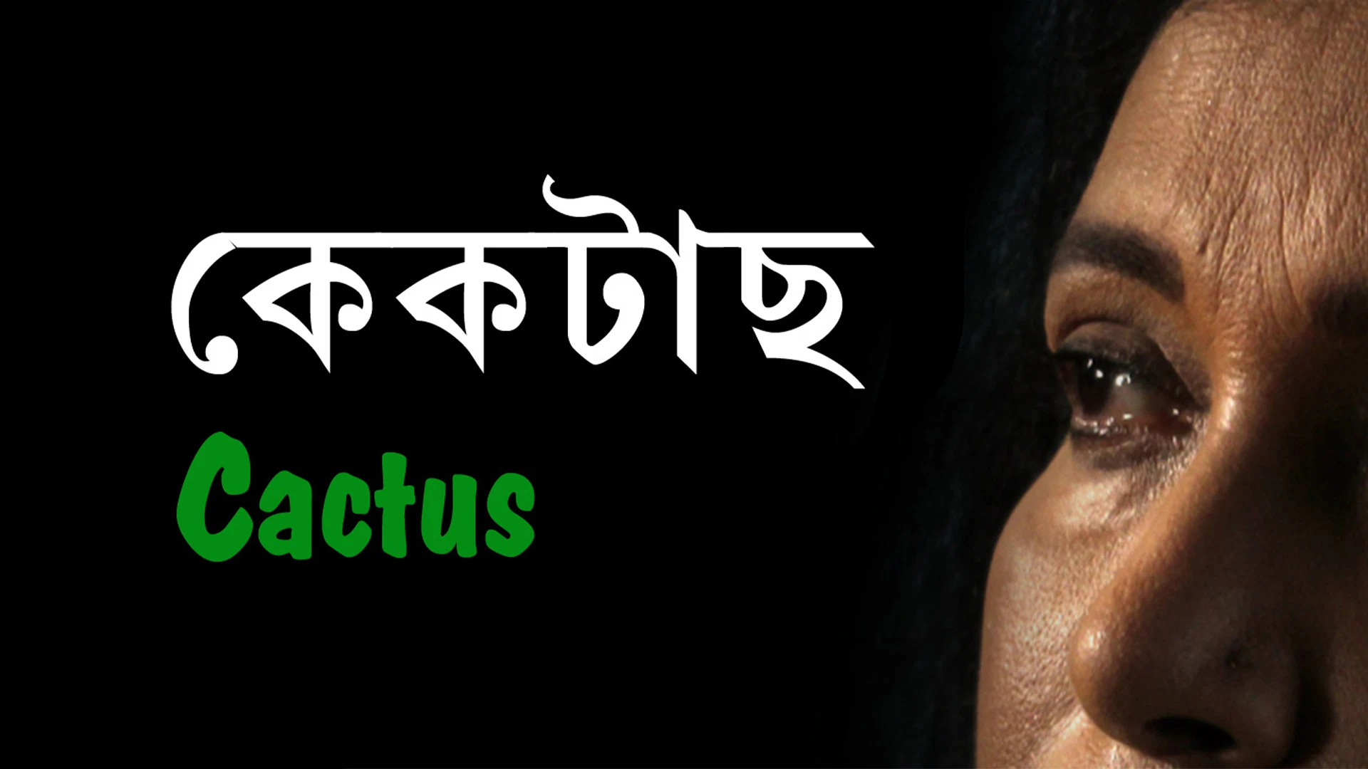 Cactus Desktop Poster